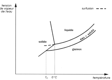 Graphique tension de vapeur d'eau / température