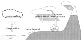 Illustration schématique du cycle de l'eau