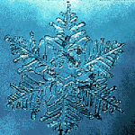 Neige fraîche en étoile