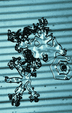 Particules reconnaissables
